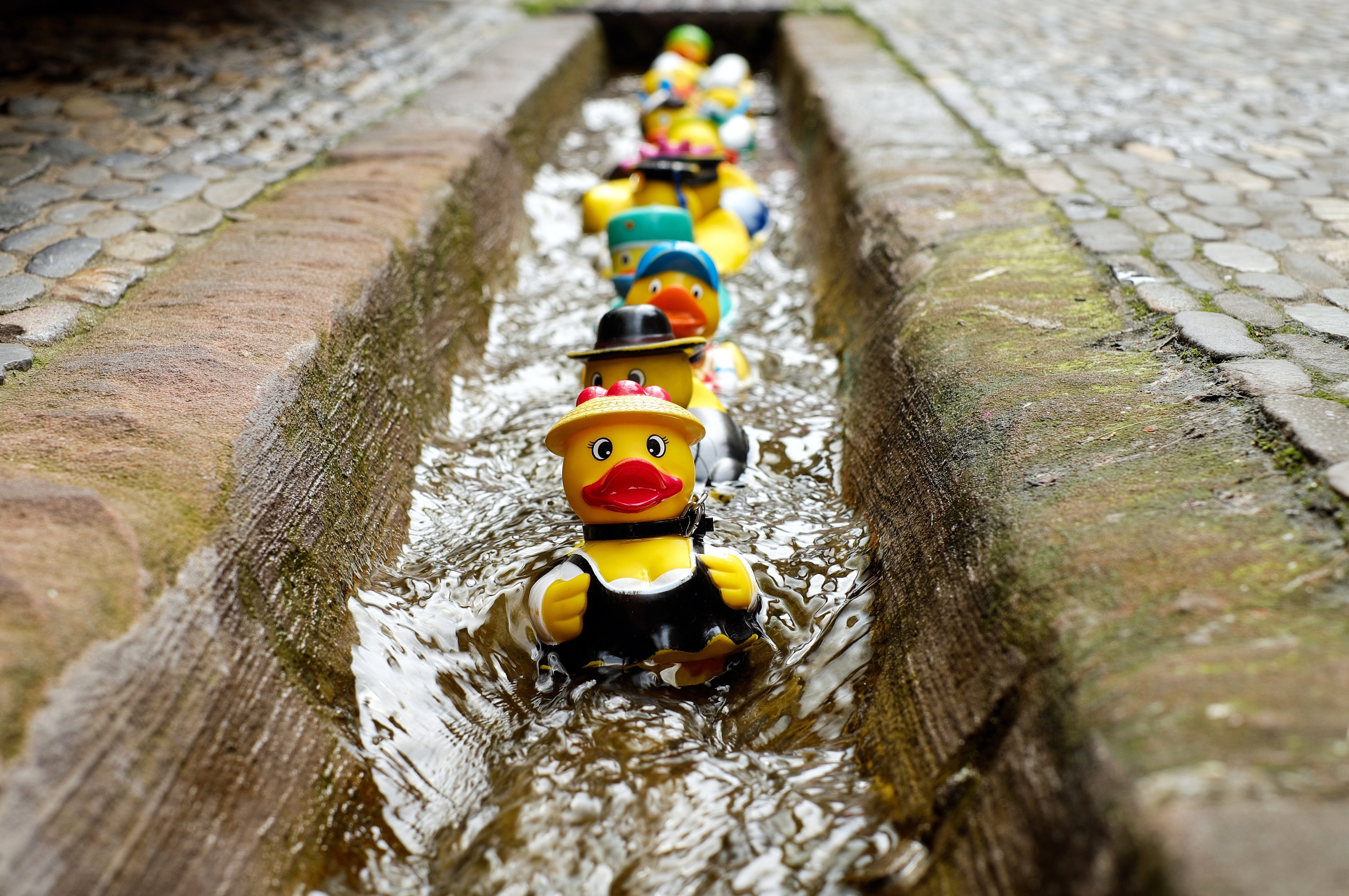 These adorable rubber ducks