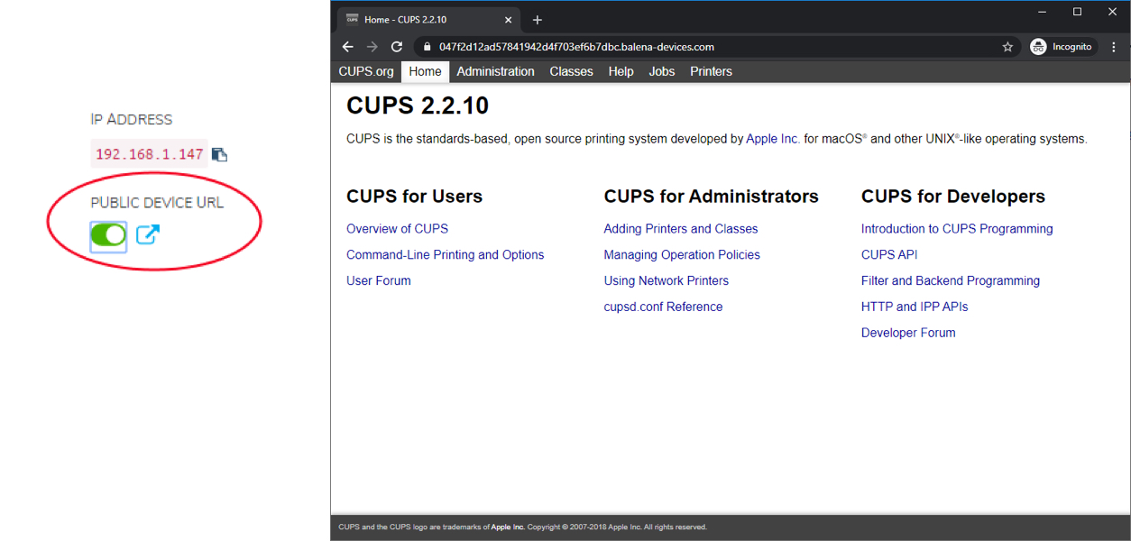Accessing public device URL and CUPS interface